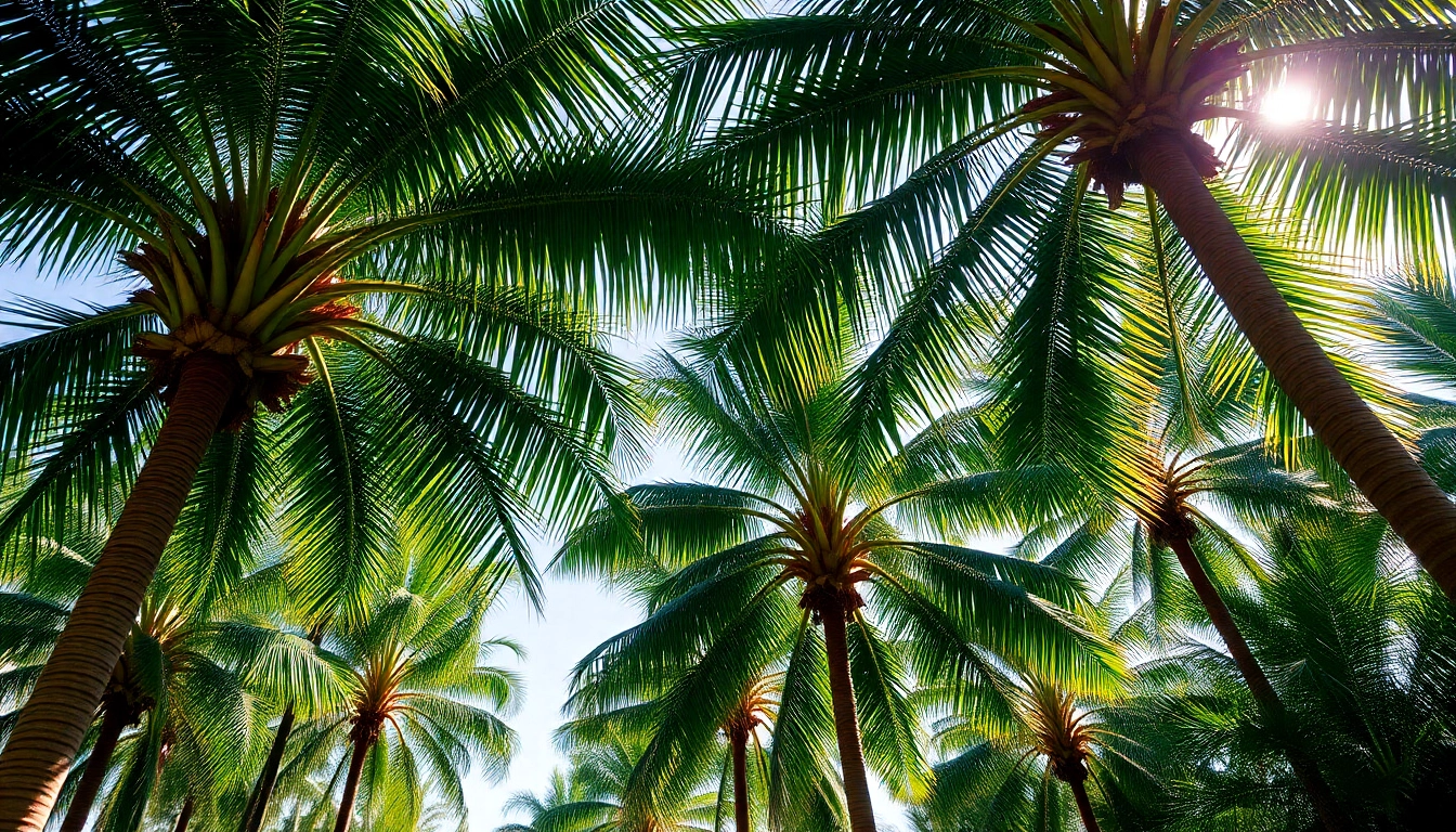 The Lifespan of Palm Trees: How Long to Palm Trees Live and What Affects Their Longevity